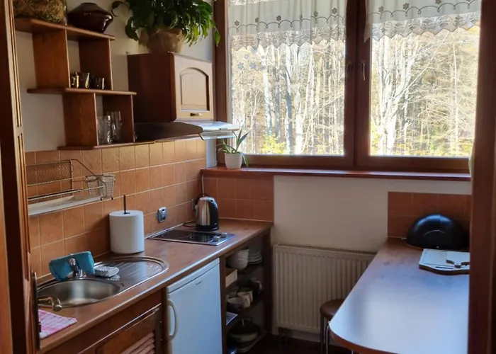 U Janka زاكوباني